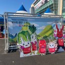 진안문화의집 회의실 | 2025 제7회 진안고원 김치보쌈축제 [전북 축제장]