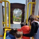 연일근린공원 이미지