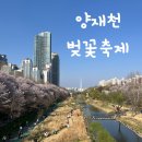 심온 | 양재천 벚꽃축제 후기! 카페 심온까지 완벽 코스