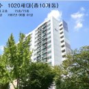 주공아파트 8단지 Daum카페
