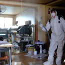 상촌시장 이미지