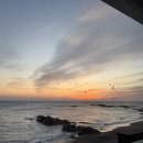 코너스톤 스파 앤 풀빌라펜션 | [포항여행] 포항 메르송풀앤스파 풀빌라 후기