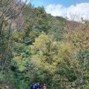 무안황토갯벌랜드B 이미지