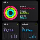 119딧고기 이미지