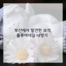 네일Day 이미지