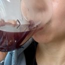 샤인농부협동조합 | 정선 고랭지의 진한 맛 잼있는농부 유기농 블루베리착즙 주스 후기