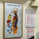 경희도담한방병원 | 일산 탄현 한의원 추천! ‘경희 광제한의원’에서 교통사고 후유증 치료받은 후기🔥