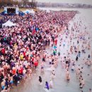 인산태양광발전소 이미지