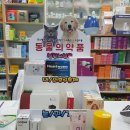 옵티마봄약국 이미지