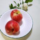 영덕싱싱농원 이미지