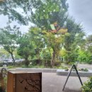 고아세탁소 이미지