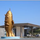 추자도 대서리 문화공연장 이미지