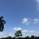 그린밸리가든 이미지