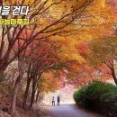 하늘마루 이미지