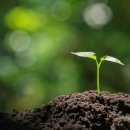 정이든의원 이미지