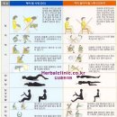 요통 및 디스크(요추추간판탈출증)의 운동요법 이미지