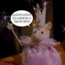 이것저것 뒤죽박죽