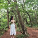 표선가시리민박 | 7월 제주도 가볼만한곳 - &#39;사려니숲길&#39; 코스+주차장 (효리네민박 촬영지)
