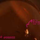 후라이닭양념이닭 이미지