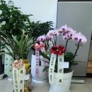 신대8차공인중개사사무소 네이버블로그