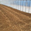 인동농장 이미지