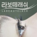 라보떼래쉬 이미지