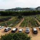 김상배농장 이미지