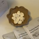 스테이99.9 | LG 드럼 세탁기 세탁조 청소ㅣ온스테이세탁조클리너 솔직후기