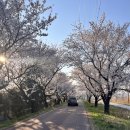 백구소공원 이미지