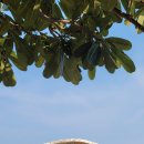 경제공부가 어려운 당신의 선택 간접투자 | 처음 보는 ETF, 대체 뭐길래 이렇게들 투자할까 직접 공부해본 후기