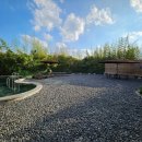 사일온천 이미지