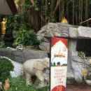 황금언덕 이미지