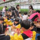 삼정초병설유치원 이미지