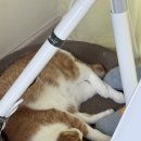 해드니슈퍼 | 의령에서 축제 기획자로 한 달 살기(1)