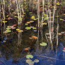 명덕호수공원 이미지