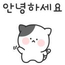 쭈니살롱 이미지