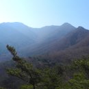 구수 Daum카페