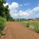 어상천면사무소 이미지