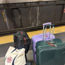 [미국뉴욕여행 콩코드 호텔] 내돈내산 Concorde Hotel New York 신혼여행 6박 숙박 후기(+ 리조트피)