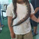 해피주 동물카페 원주점 이미지