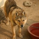 정돌이네 이미지