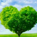 일박펜션 이미지