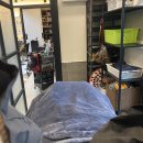 Vanity & co hair(베니티헤어) | 부산 해운대 장산 미용실 추천 [Vanity & Co Hair 베너티앤코]
