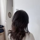 정동호뷰티힐