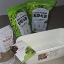 관수야관수 | [다이소 저면관수 화분] 다이소 텃밭 세팅 + 뿌리파리 퇴치 삼진충 후기 (1일차)