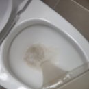 2 | [공지] [대전 대덕구 소파청소 후기] 두 시간 넘게 고생한 보람! 말끔해진 소파에 집안 분위기까지...