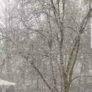 묘 미 앤 이미지