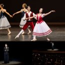 해설이 있는 발레 <백조의 호수> 이미지