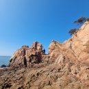 생명의 바다 1.2 | 서울근교 바다낚시 인천 무의도 세렝게티 광어 루어낚시 포인트 및 후기