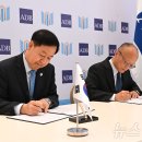 콘개발